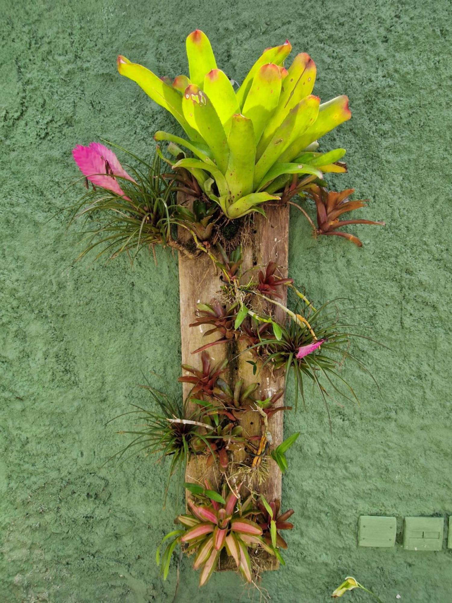 Casa Colonial Cabore Holiday home Paraty